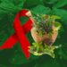 Ayurveda and AIDS – #WorldAIDSDay2022