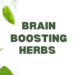 Brain Boost: Herbs for Boosting Mental Health